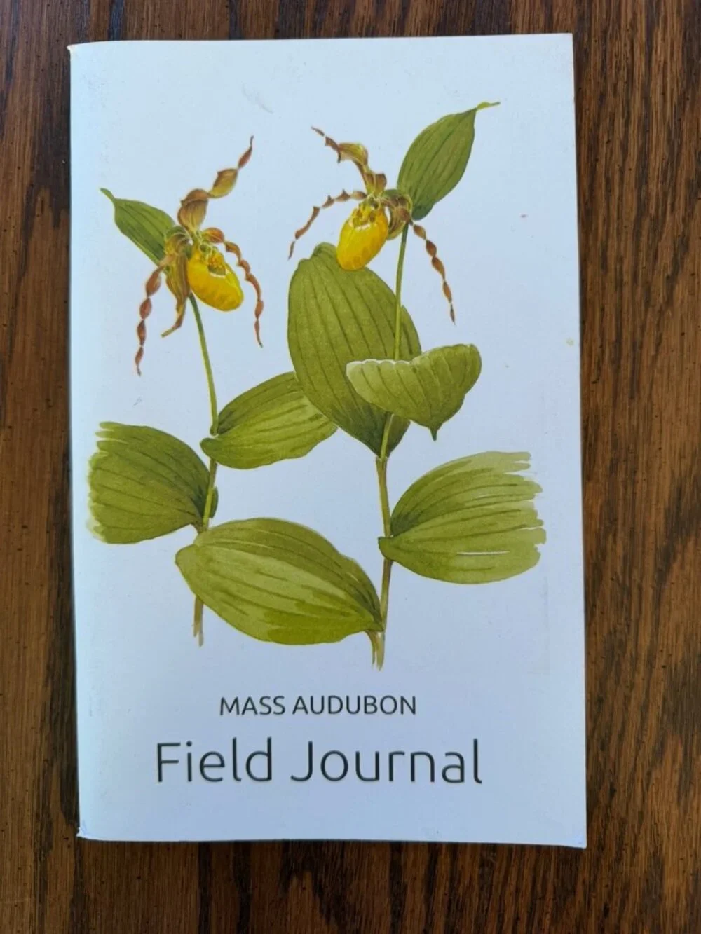 Mass‎ Audubon Field Journal